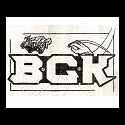 BGK - Patch