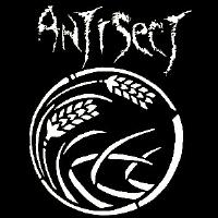 ANTISECT - Back Patch