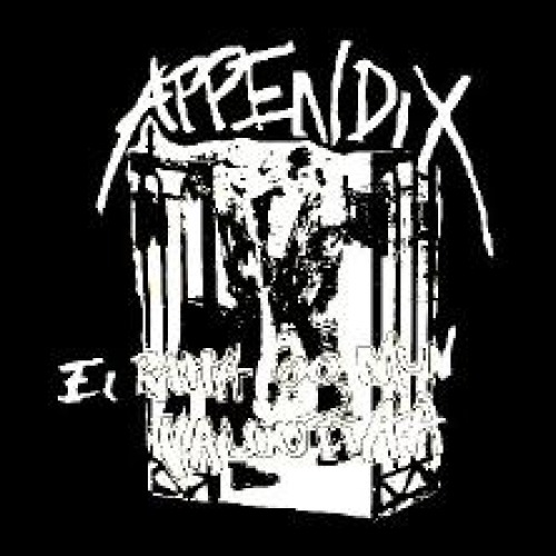 APPENDIX - Back patch