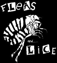 Fleas And Lice - Flea - Sticker